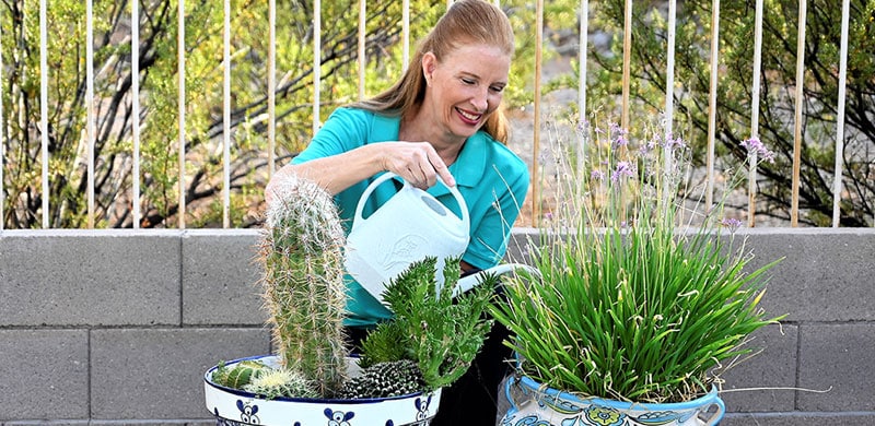 Home Management Services, Housesitting, by All About Services