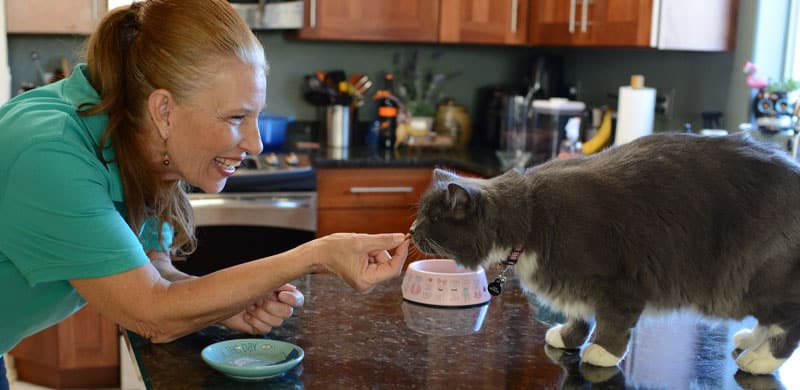 Pet Care, Annie Feeding Cat Treats