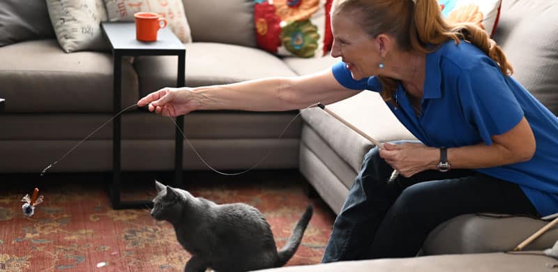 Pet Care Annie Playing With Cat