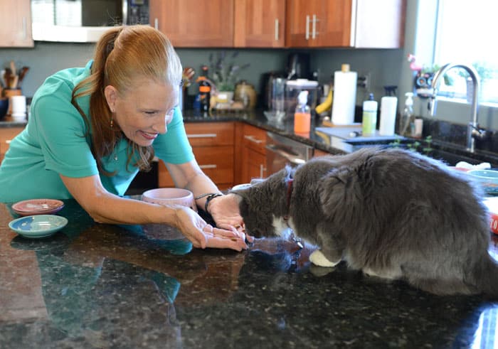 Pet Care, Pet Sitting