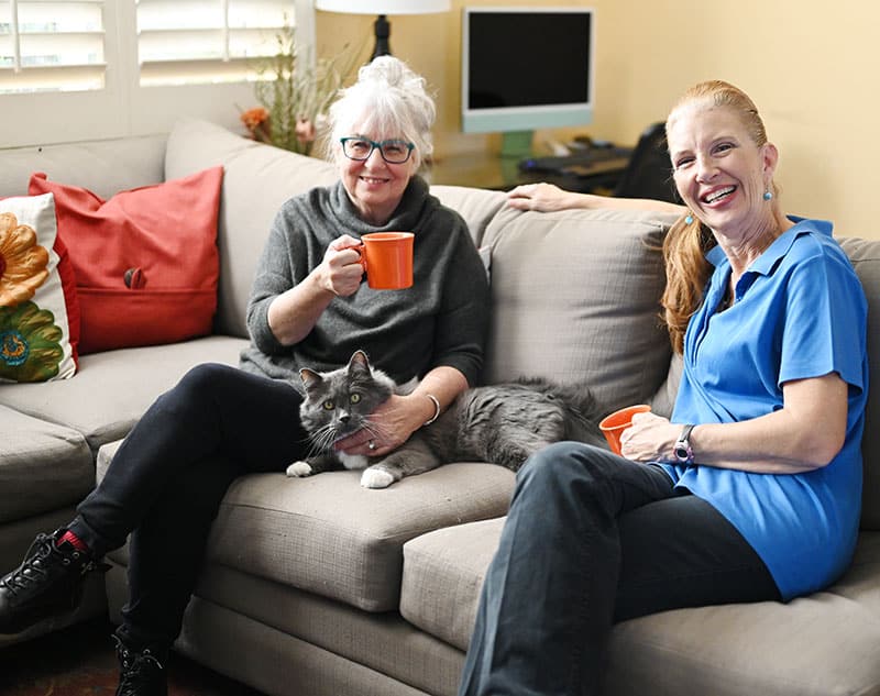 Pet Services Meeting The Client